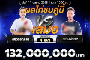 คลิปไก่ชน มีสุวรรณทีม VS ตะวันสีทอง 11 ตุลาคม 2568
