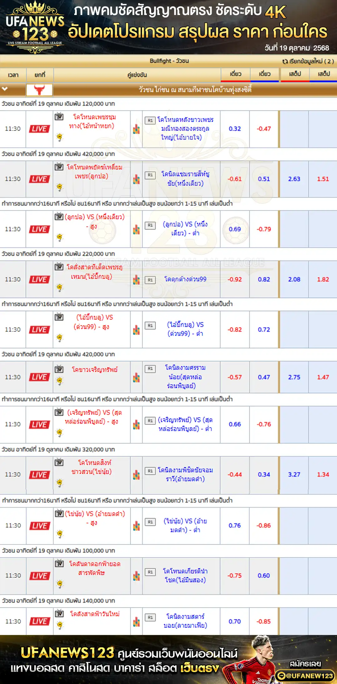 รายการราคาวัวชนประจำวันที่ 19 ตุลาคม 2568 | สนามชนโคบ้านทุ่งสงซิตี้