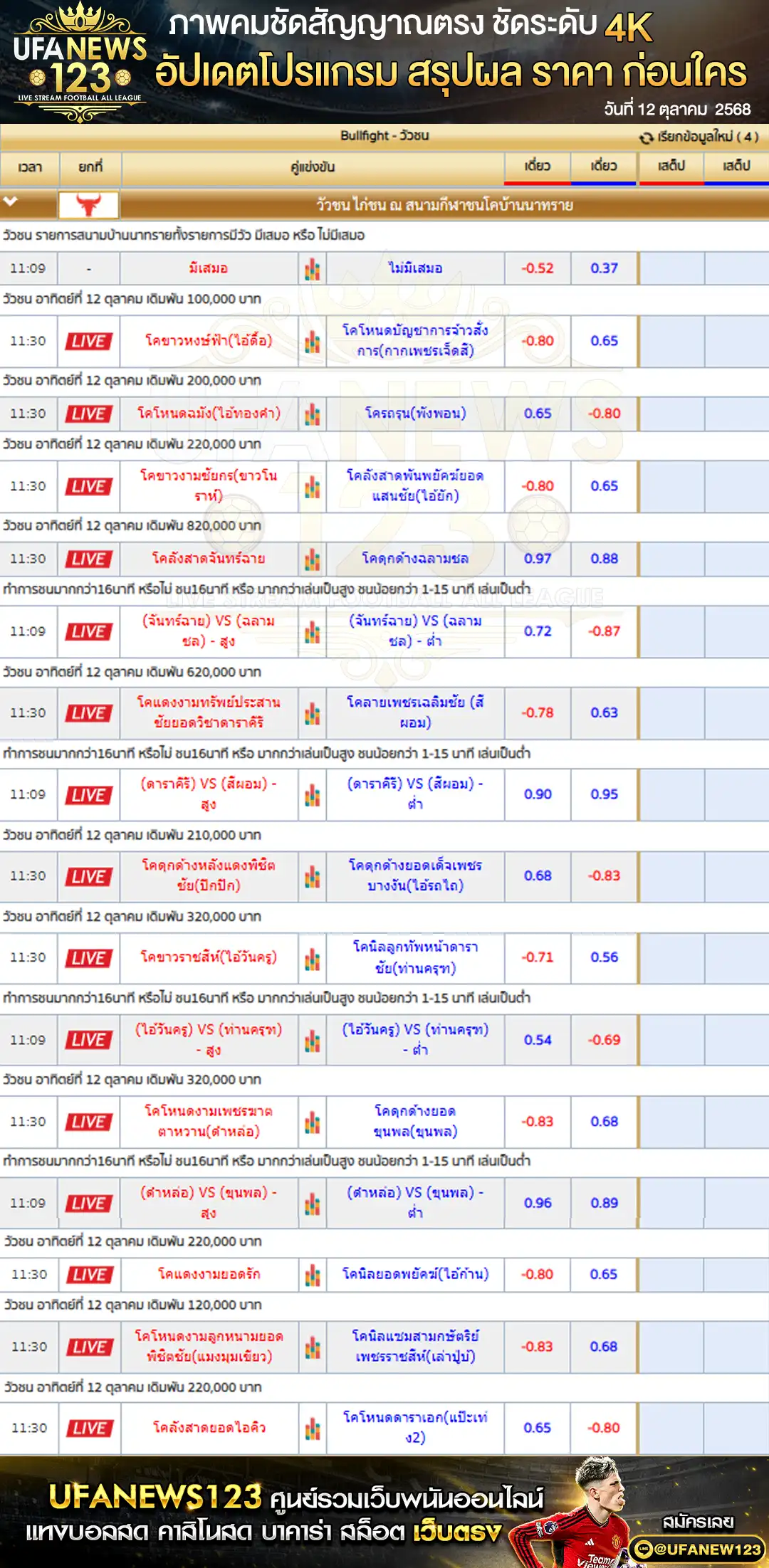 รายการราคาวัวชนประจำวันที่ 12 ตุลาคม 2568 | สนามกีฬาชนโคบ้านนาทราย เริ่มเวลา 10:00 น.