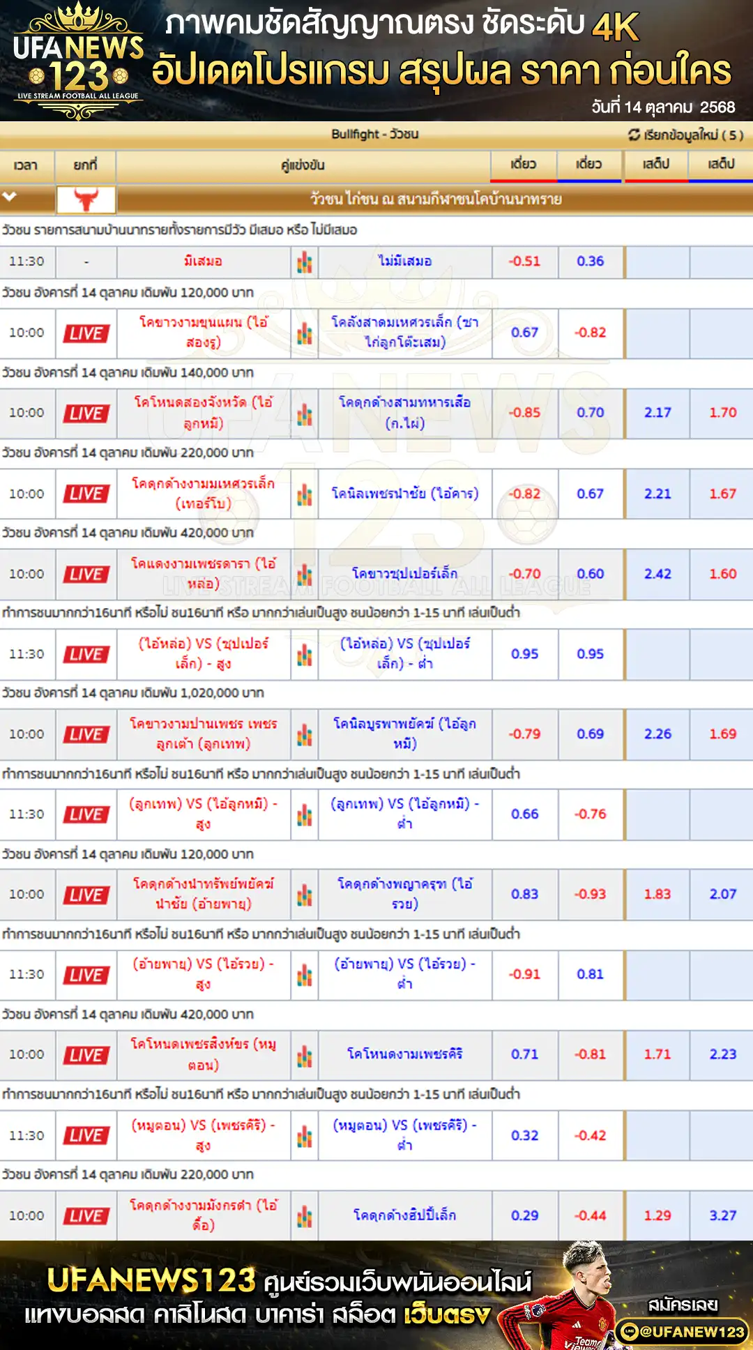 ตารางราคาวัวชนประจำวันที่ 14 ตุลาคม 2568 | สนามชนโคบ้านนาทราย (เริ่มเวลา 10:00 น.)