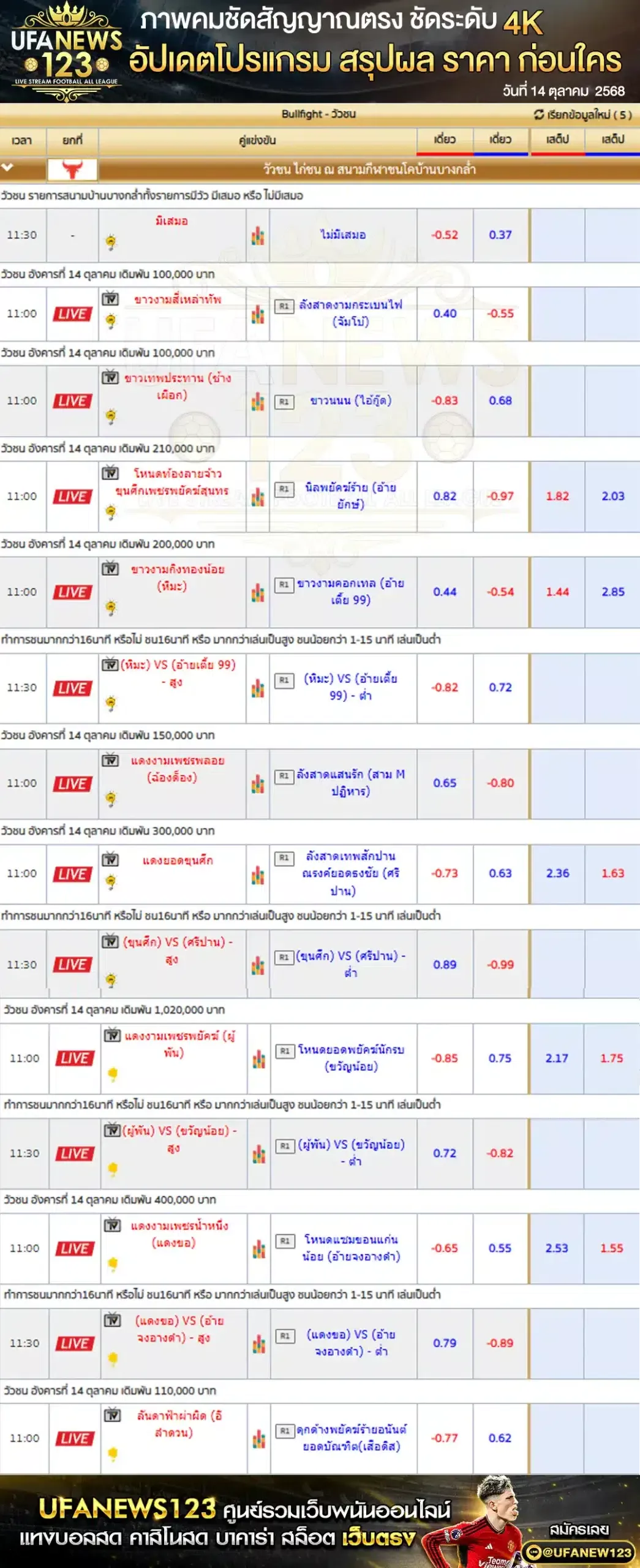 ตารางราคาวัวชนประจำวันที่ 14 ตุลาคม 2568 | สนามชนโคบ้านบางกล่ำ (เริ่มเวลา 11:00 น.)