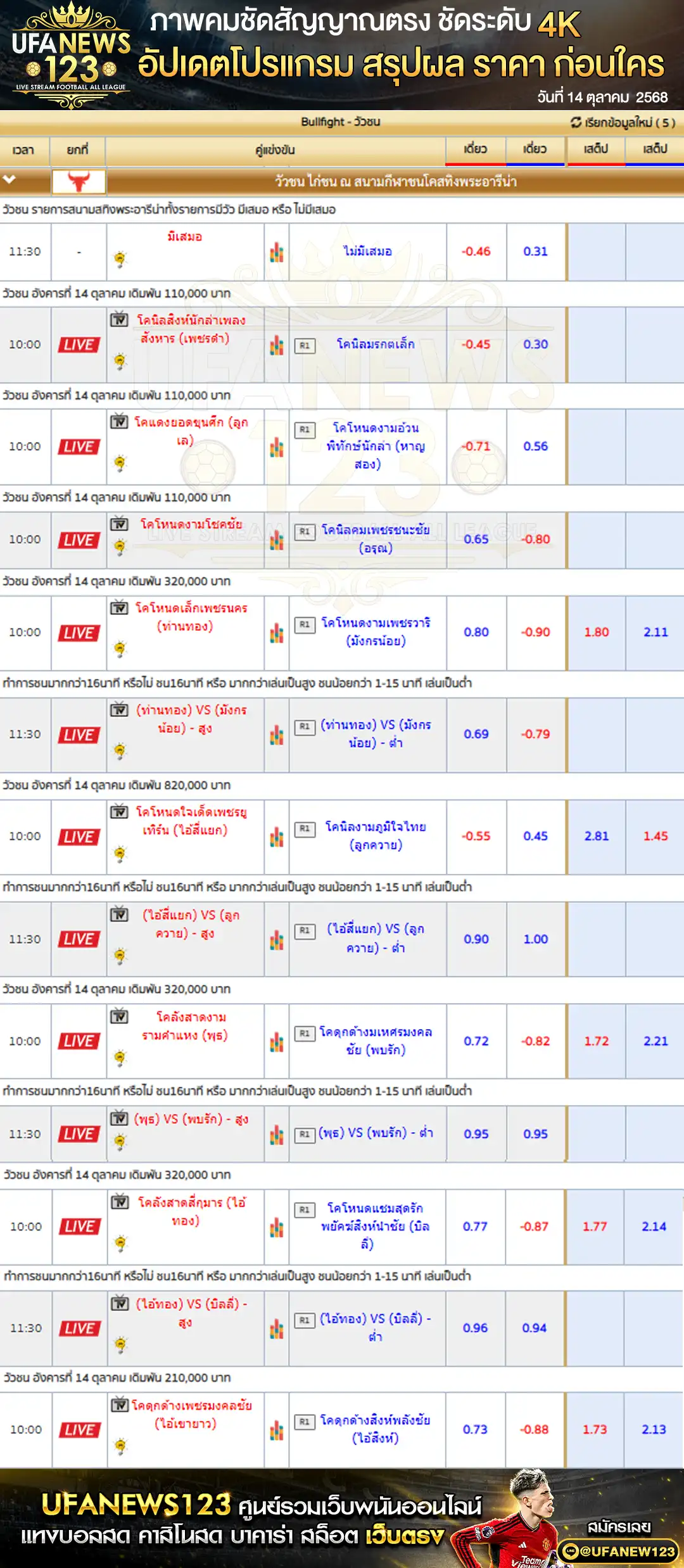 ตารางราคาวัวชนประจำวันที่ 14 ตุลาคม 2568 | สนามชนโคสทิงพระอารีน่า (เริ่มเวลา 10:30 น.)