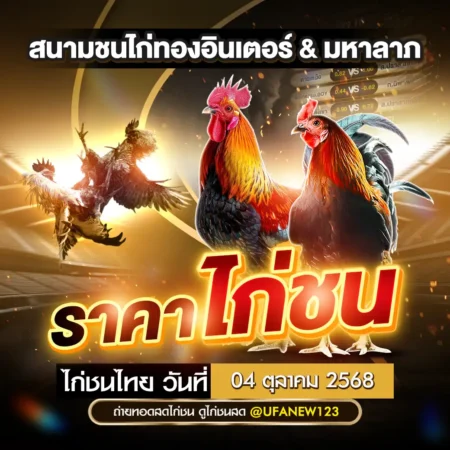 ราคาไก่ชน 04 ตุลาคม 2568