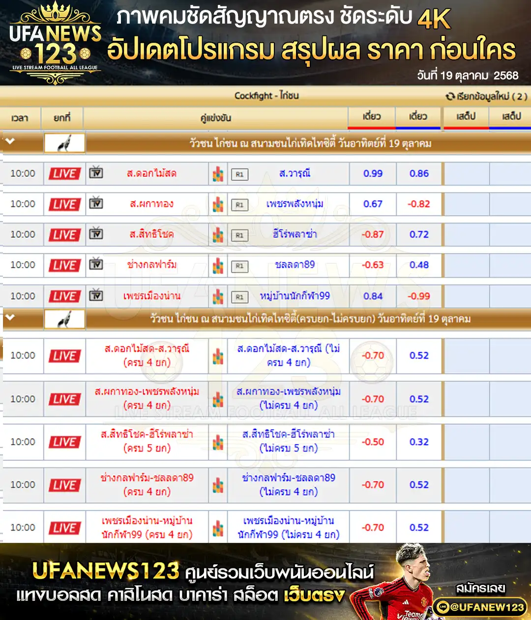 รายการราคาไก่ชนประจำวันที่ 19 ตุลาคม 2568 | สนามชนไก่เทิดไทซิตี้
