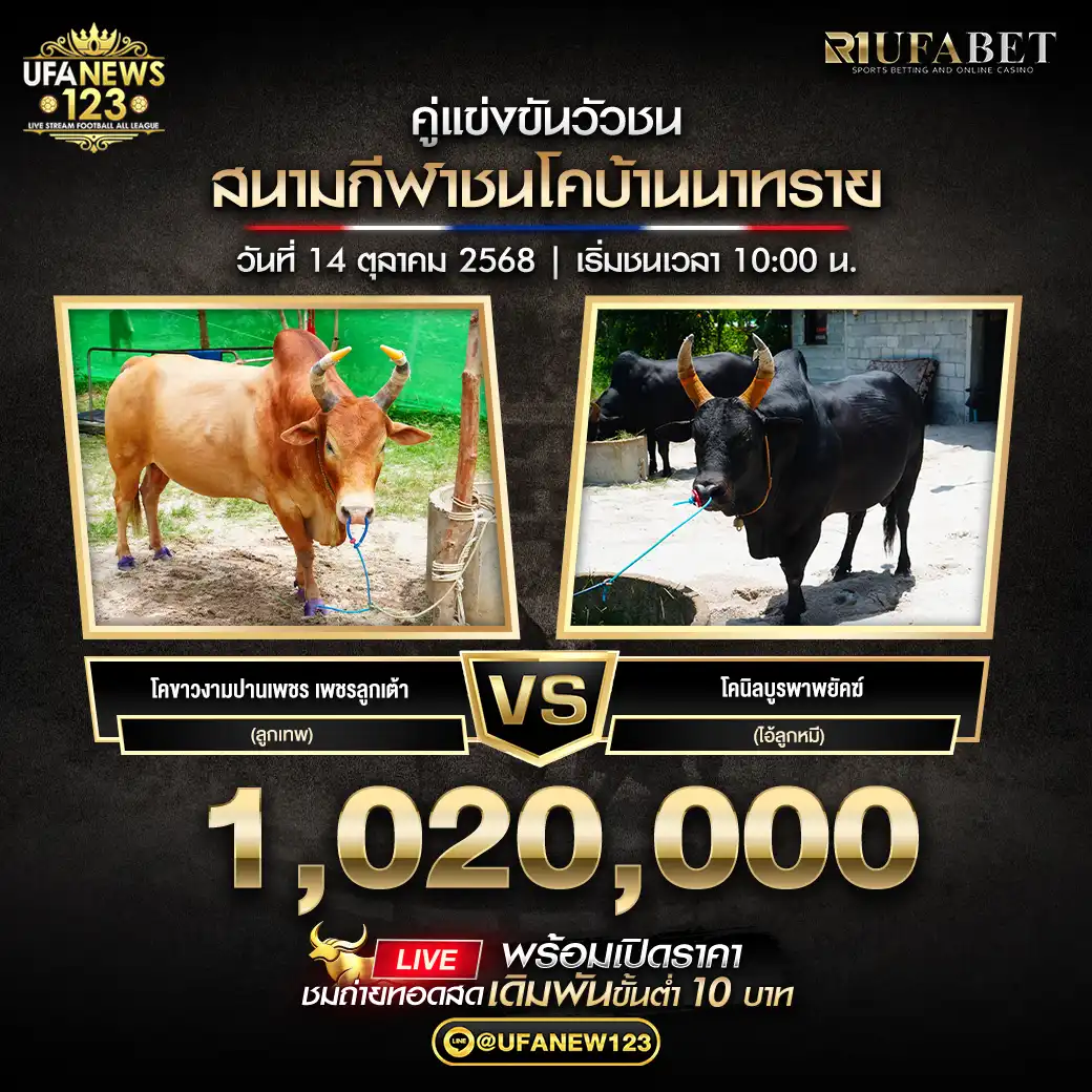 โคขาวงามปานเพชร เพชรลูกเต้า (ลูกเทพ) VS โคนิลบูรพาพยัคฆ์ (ไอ้ลูกหมี) ชิงรางวัล 1,020,000 บาท