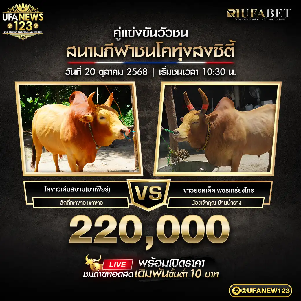 โคขาวเด่นสยาม(มาเฟียร์) VS โคขาวยอดเด็ดเพชรเกรียงไกร ชิงรางวัล 220,000 บาท