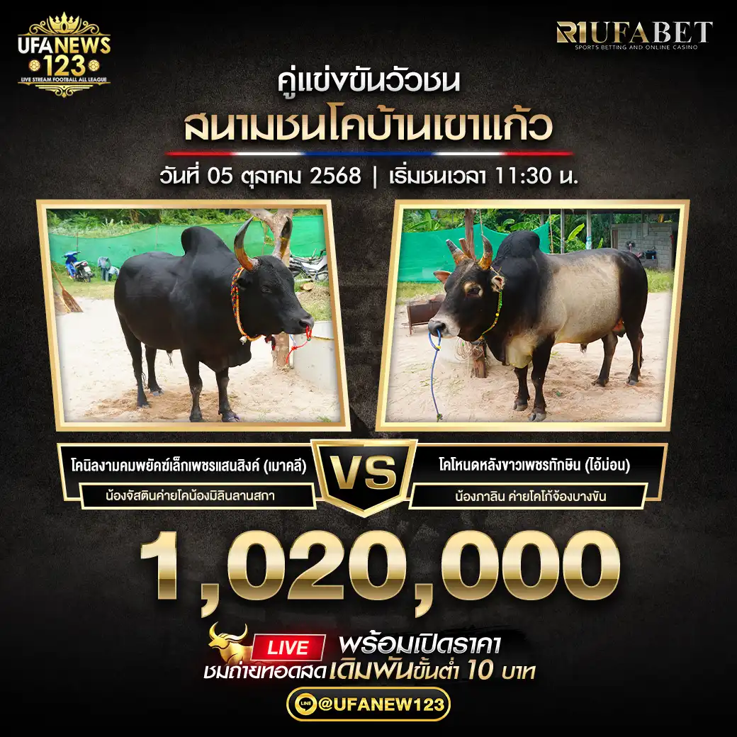 โคนิลงามคมพยัคฆ์เล็กเพชรแสนสิงค์(เมาคลี) VS โคโหนดหลังขาวเพชรทักษิน(ไอ้ม่อน) ชิงรางวัล 1,020,000 บาท