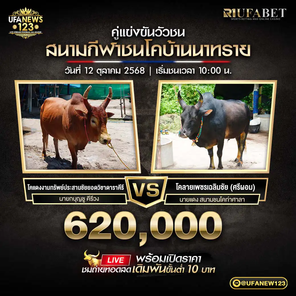 โคแดงงามทรัพย์ประสานชัยยอดวิชาดาราคีรี VS โคลายเพชรเฉลิมชัย (ศรีผอม) ชิงรางวัล 620,000 บาท 12 ตุลาคม 2568