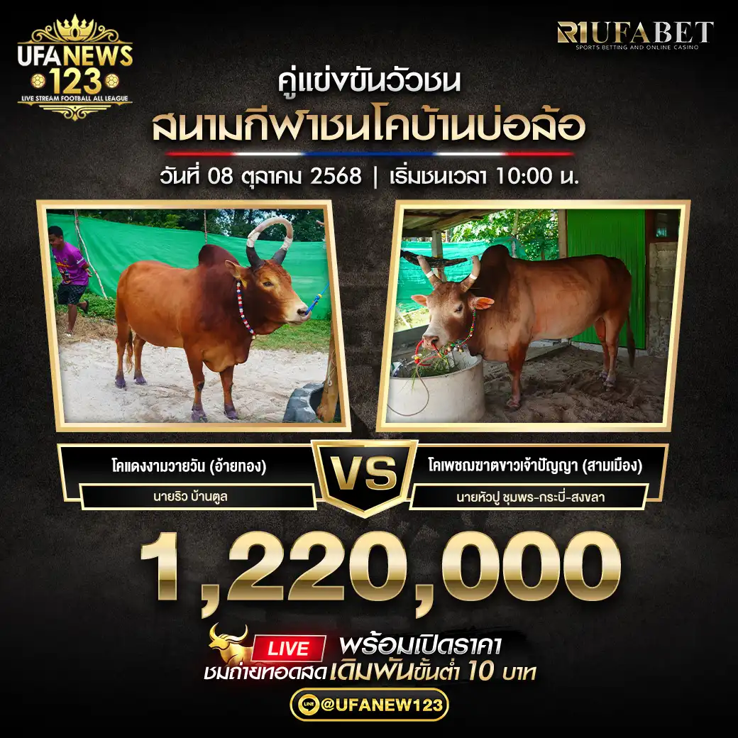 โคแดงงามวายวัน (อ้ายทอง) VS โคเพชฌฆาตขาวเจ้าปัญญา (สามเมือง) ชิงรางวัล 1,220,000 บาท