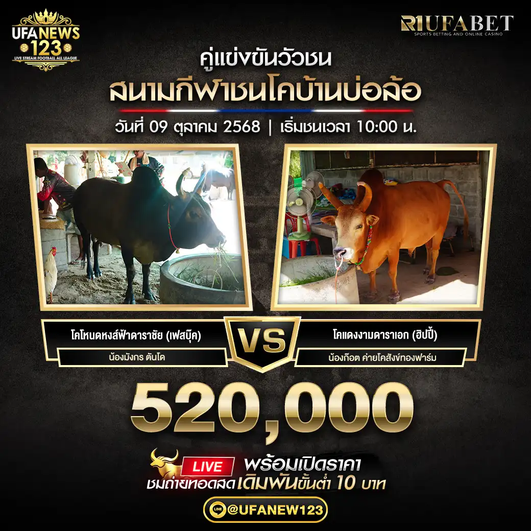 โคโหนดหงส์ฟ้าดาราชัย (เฟสบุ๊ค) VS โคแดงงามดาราเอก (ฮิปปี้) ชิงรางวัล 520,000 บาท 09 ตุลาคม 2568