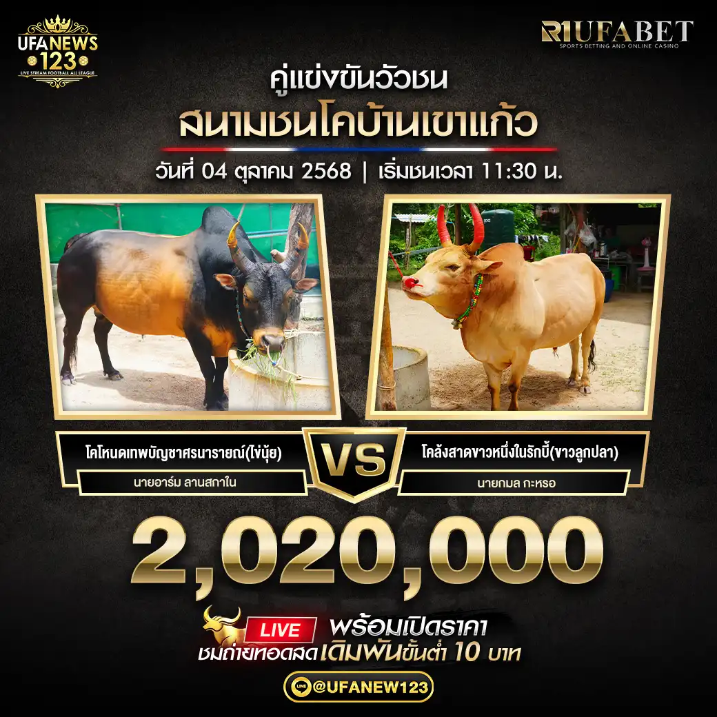 โคโหนดเทพบัญชาศรนารายณ์(ไข่นุ้ย) VS โคลังสาดขาวหนึ่งในรักบี้(ขาวลูกปลา) ชิงรางวัล 2,020,000 บาท