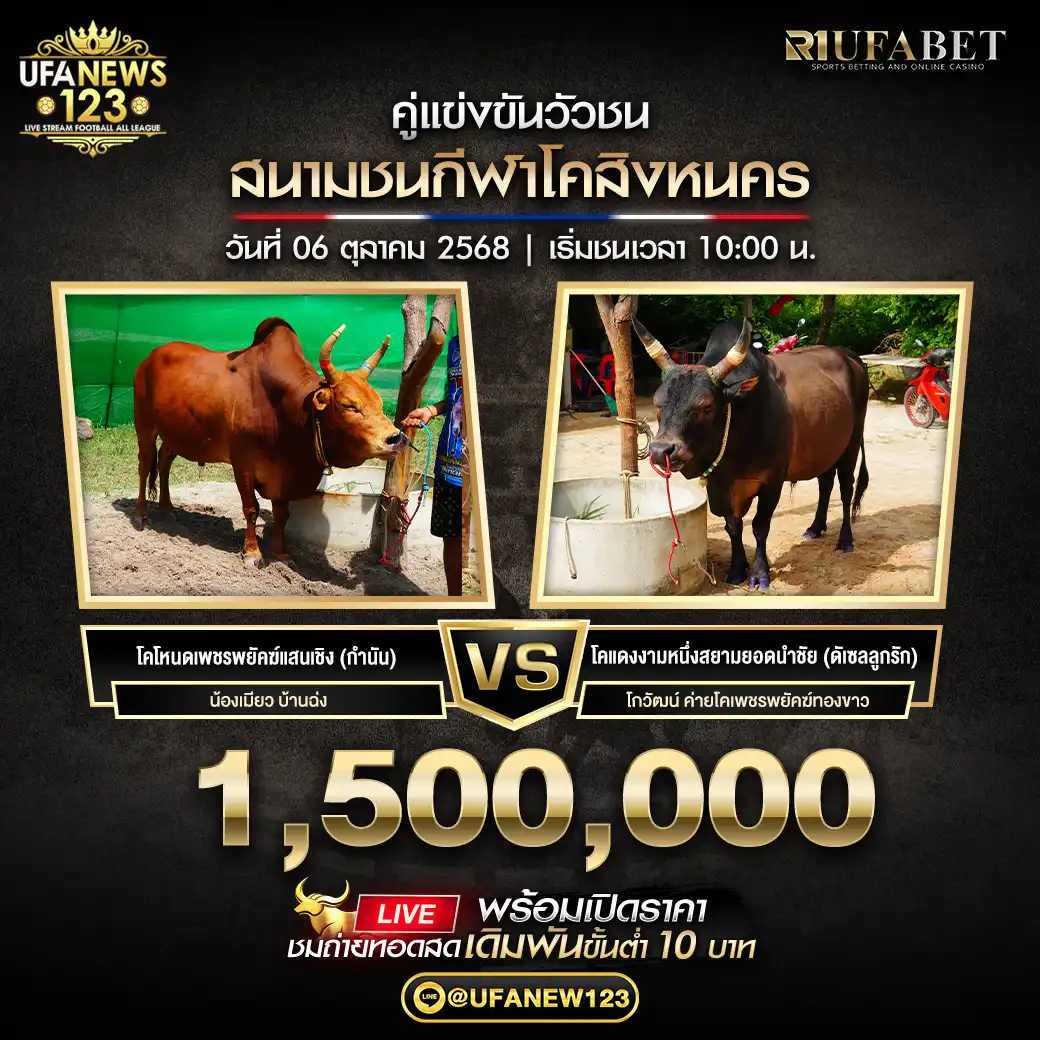 โคโหนดเพชรพยัคฆ์แสนเชิง (กำนัน) VS โคแดงงามหนึ่งสยามยอดนำชัย (ดีเซลูกรัก) ชิงรางวัล 1,520,000 บาท