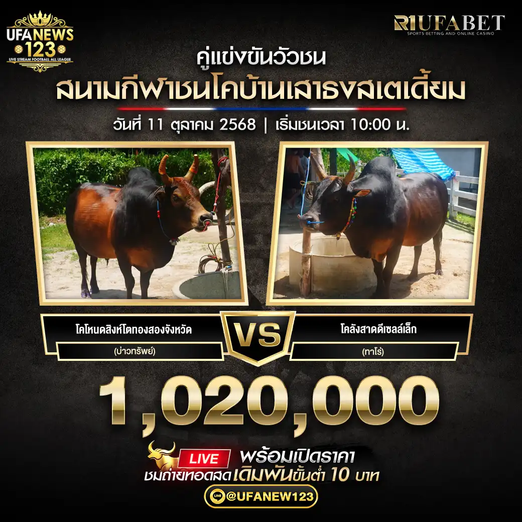 โคไหนดสิงห์ไตทองสองจังหวัดยอดมีชัย(บ่าวทรัพย์) VS โคลังสาดดีเซลล์เล็ก(ทาโร่) ชิงรางวัล 1,020,000 บาท
