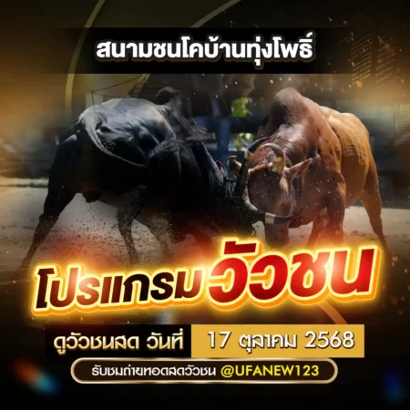 โปรแกรมวัวชน 17 ตุลาคม 2568