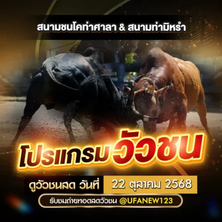 โปรแกรมวัวชน 22 ตุลาคม 2568