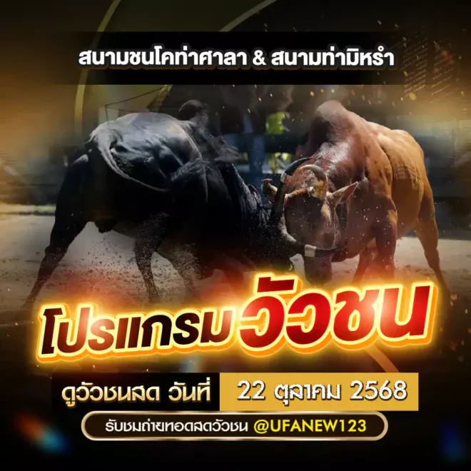 โปรแกรมวัวชน 22 ตุลาคม 2568