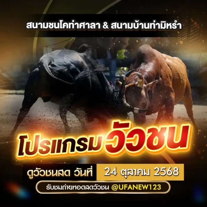 โปรแกรมวัวชน 24 ตุลาคม 2568