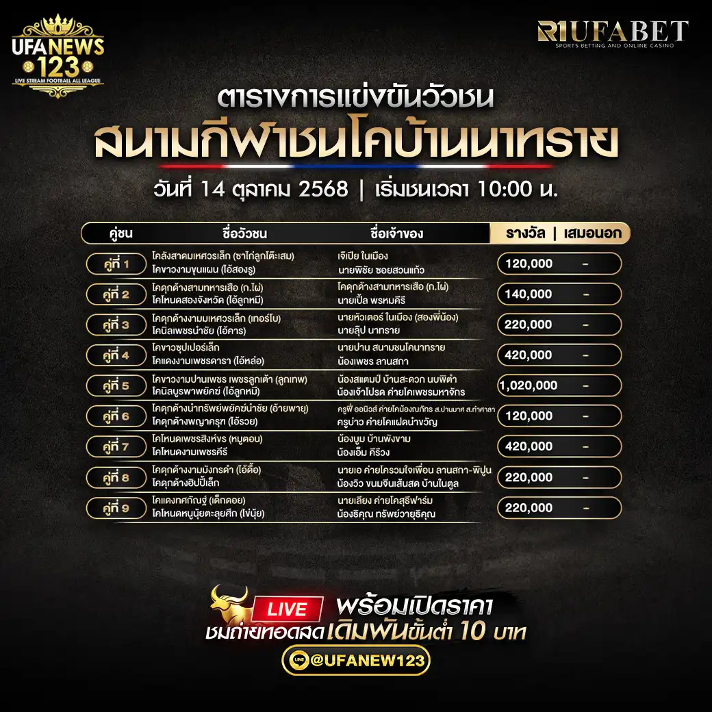 รายการโปรแกรมวัวชนประจำวันที่ 14 ตุลาคม 2568 | สนามกีฬาชนโคบ้านนาทราย (เริ่มเวลา 10:00 น.)