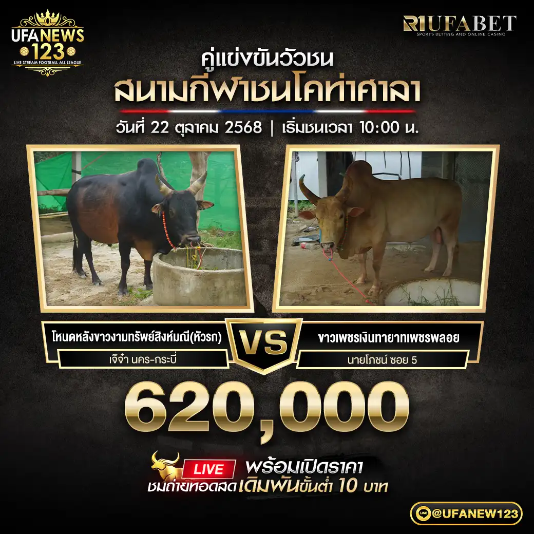 โหนดหลังขาวงามทรัพย์สิงห์มณี(หัวรก) VS ขาวเพชรเงินทายาทเพชรพลอย ชิงรางวัล 620,000 บาท
