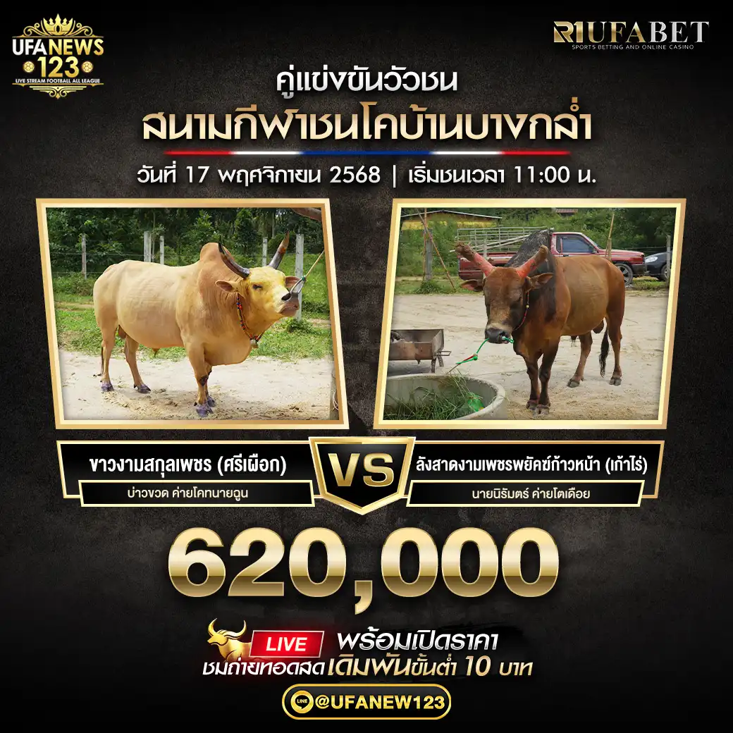 ขาวงามสกุลเพชร (ศรีเผือก) VS ลังสาดงามเพรรพยัคฆ์ก้าวหน้า (เก้าไร่) ชิงรางวัล 620,000 บาท 17 พฤศจิกายน 2568