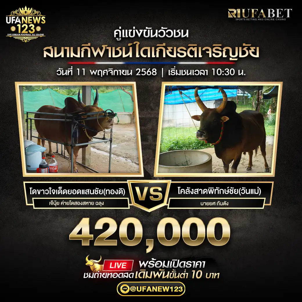 โคขาวใจเด็ดยอดแสนชัย(ทองดิ) VS โคลังสาดพิทักษ์ชัย(วันแม่) ชิงรางวัล 420,000 บาท 11 พฤศจิกายน 2568