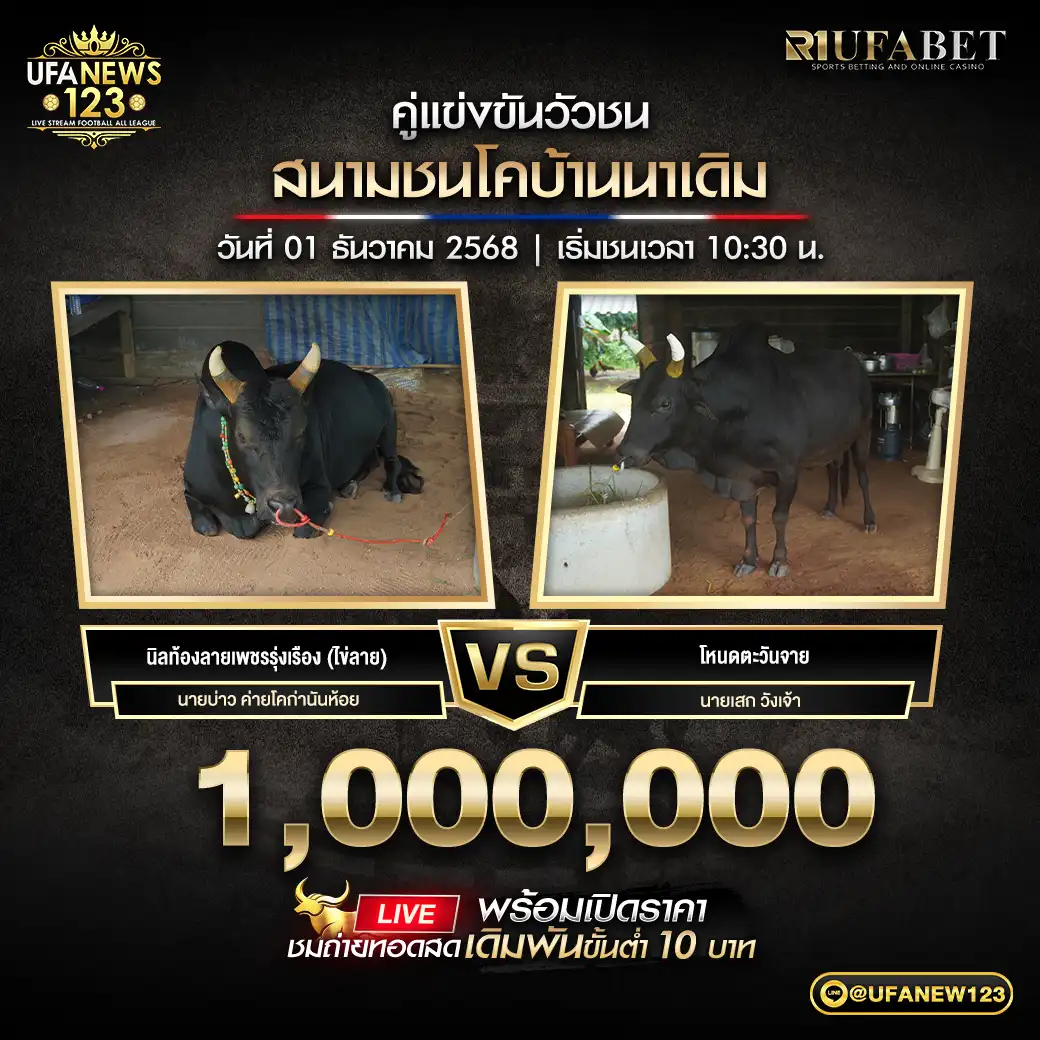 นิลท้องลายเพชรรุ่งเรือง (ไข่ลาย) VS โหนดตะวันจาย ชิงรางวัล 1,000,000 บาท 01 ธันวาคม 2568