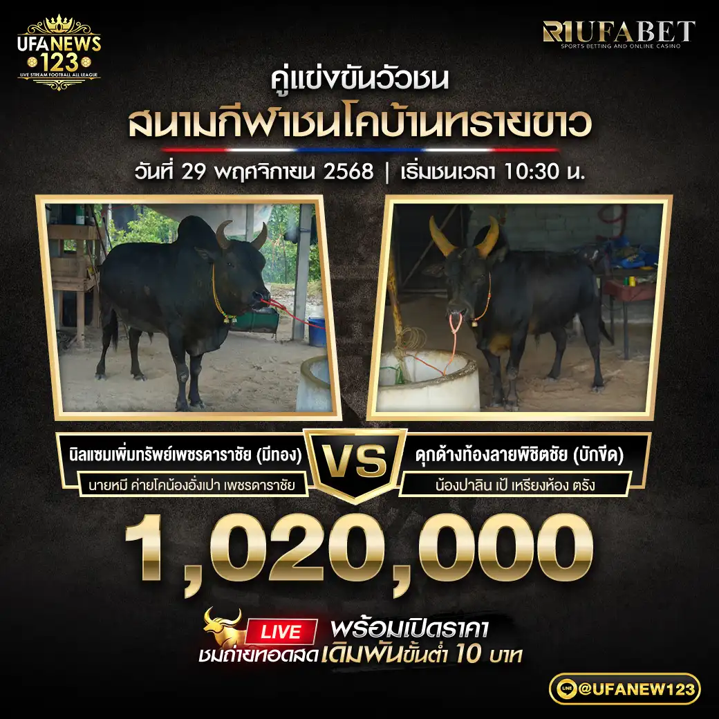 นิลแซมเพิ่มทรัพย์เพชรดาราชัย (มีทอง) VS ดุกด้างท้องลายพิชิตชัย (บักขีด) ชิงรางวัล 1,020,000 บาท 29 พฤศจิกายน 2568 
