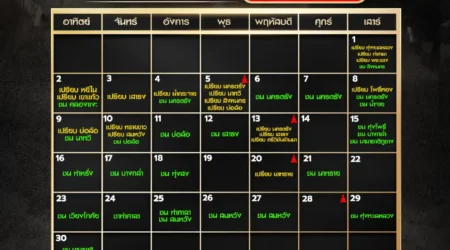 ปฏิทินวัวชน พฤศจิกายน 2568
