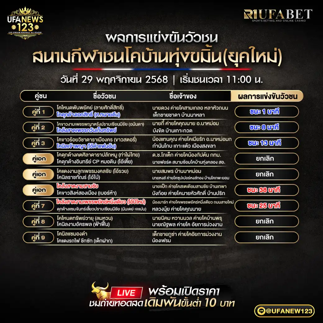 ผลวัวชนประจำวันที่ 29 พฤศจิกายน 2568 | สนามกีฬาชนโคทุ่งขมิ้น
