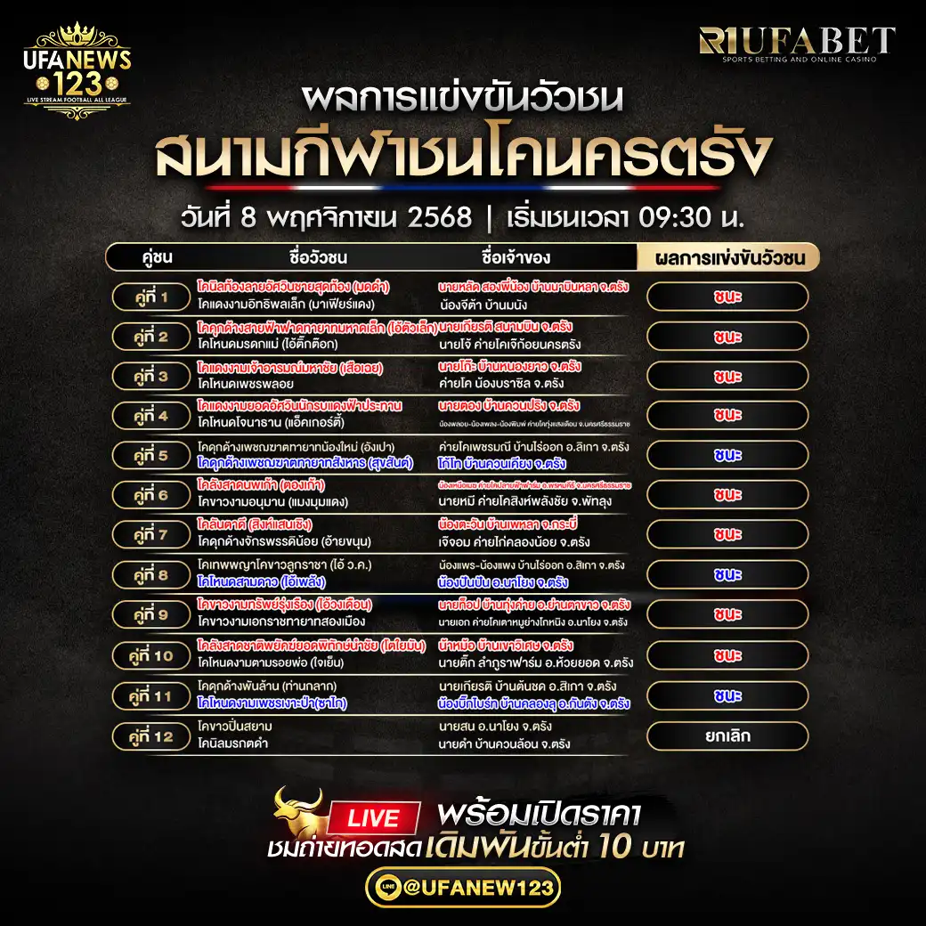 🐃 ผลวัวชนประจำวันที่ 08 พฤศจิกายน 2568 | สนามกีฬาชนโคนครตรัง