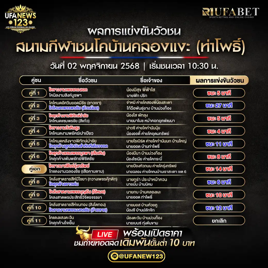 รายงานผลวัวชนประจำวันที่ 02 พฤศจิกายน 2568 | สนามกีฬาชนโคบ้านคลองแงะ