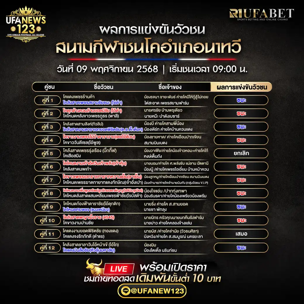 🐃 ผลวัวชนประจำวันที่ 09 พฤศจิกายน 2568 | สนามชนโคอำเภอนาทวี