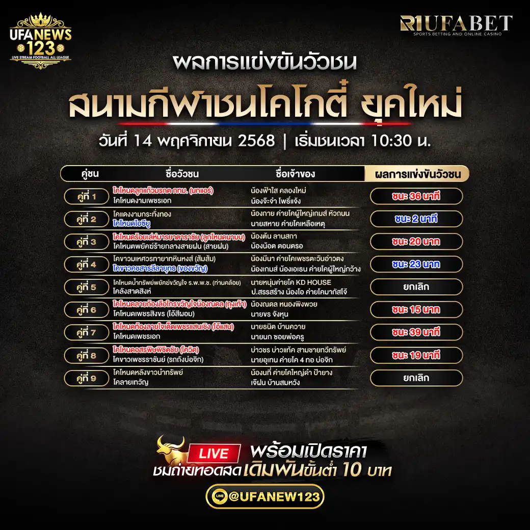 🐃 ผลวัวชนประจำวันที่ 14 พฤศจิกายน 2568 | สนามชนโคโกตี๋ ยุคใหม่