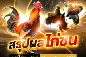 ผลไก่ชน 23 พฤศจิกายน 2568