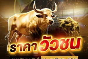 ราคาวัวชน 16 พฤศจิกายน 2568