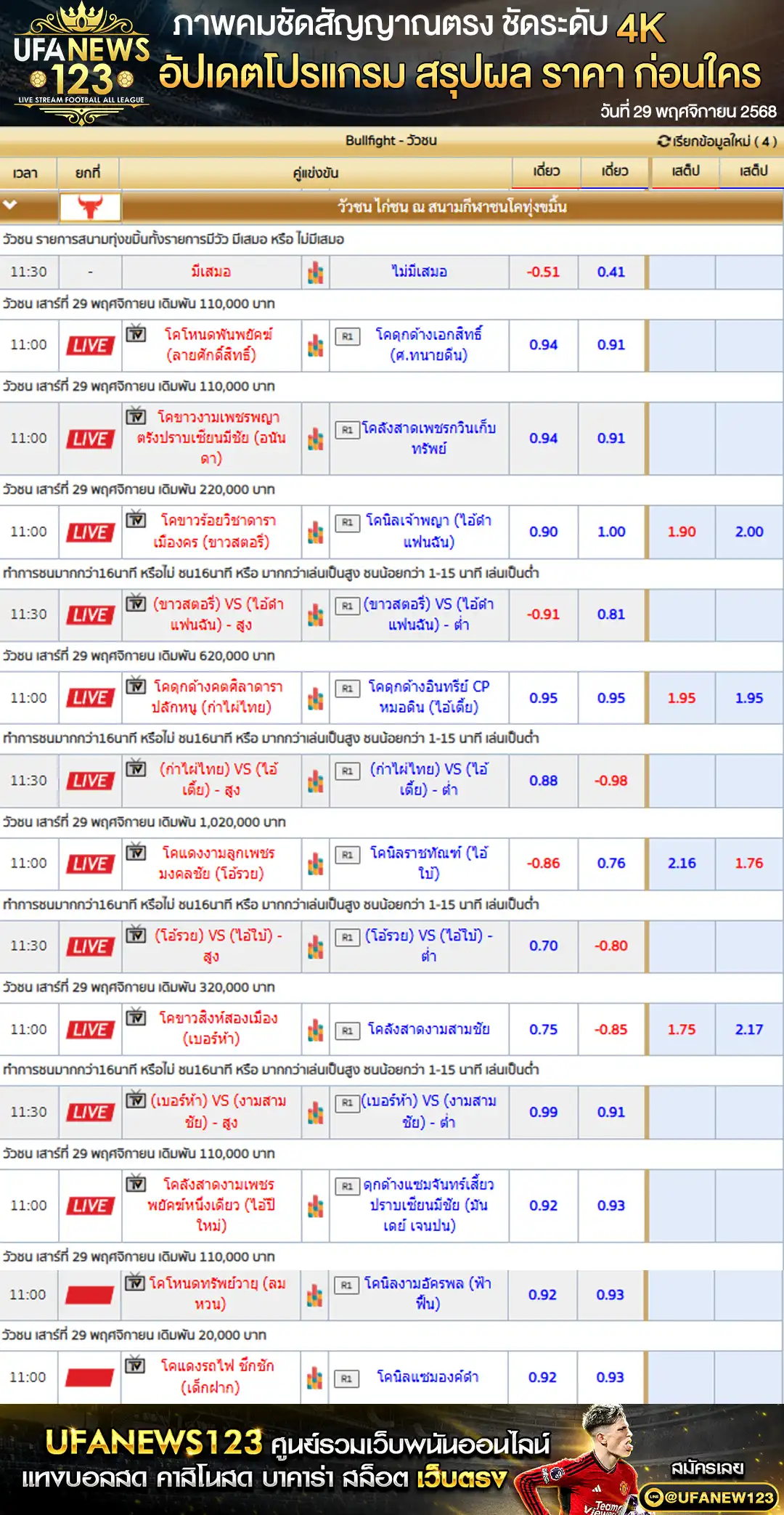 ราคาวัวชนประจำวันที่ 29 พฤศจิกายน 2568 | สนามกีฬาชนโคทุ่งขมิ้น เริ่มเวลา 11:00 น.