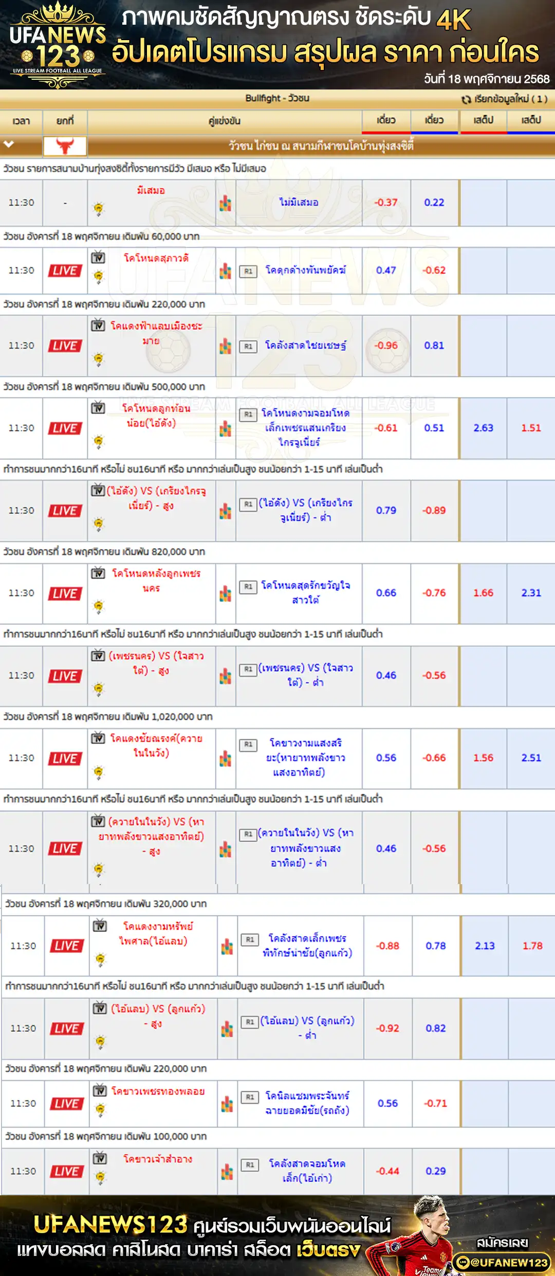 💸 ราคาวัวชนประจำวันที่ 18 พฤศจิกายน 2568 | สนามกีฬาชนโคทุ่งสงซิตี้ เริ่มเวลา 10:30 น.