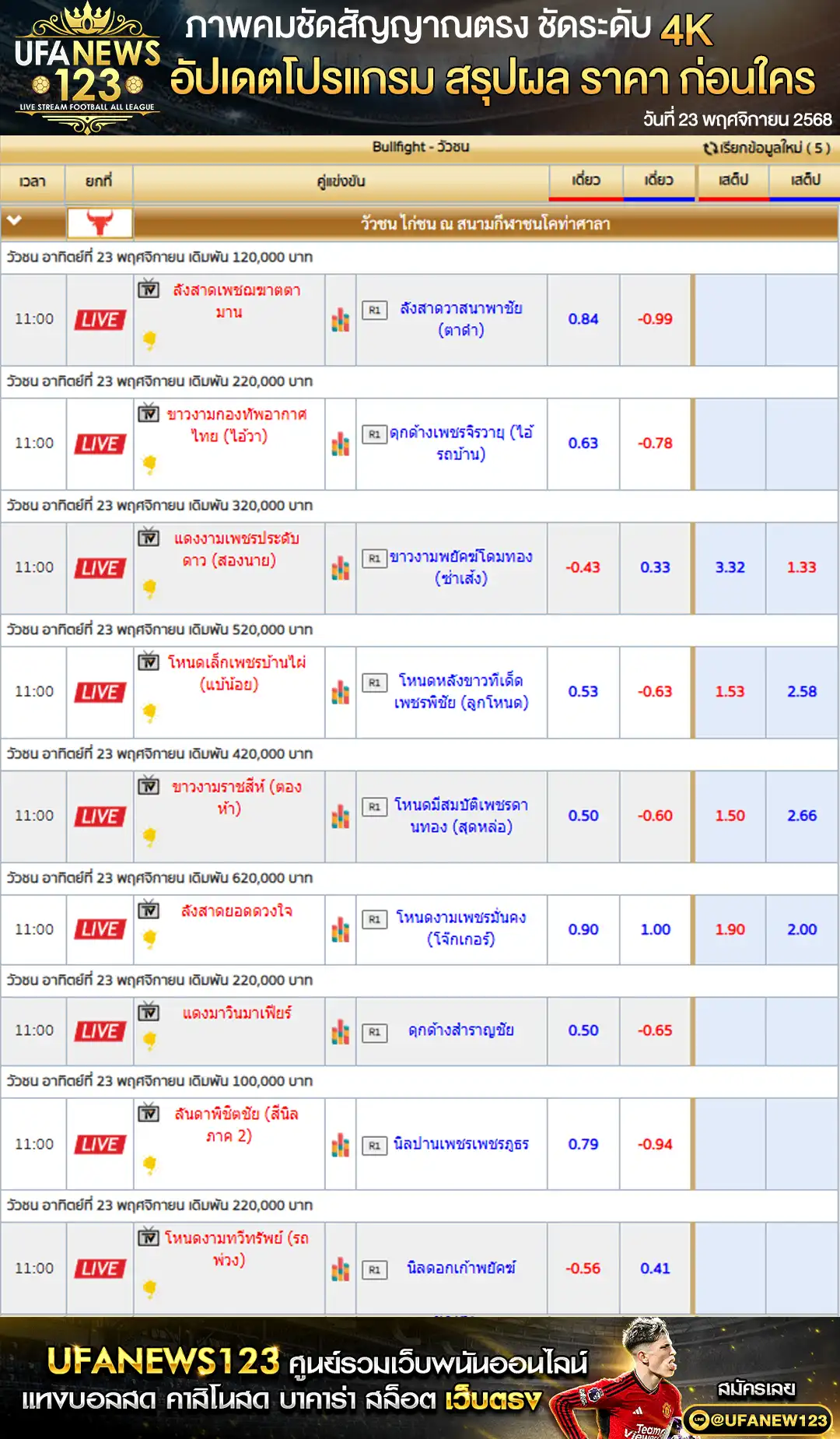 ราคาวัวชนประจำวันที่ 23 ตุลาคม 2568 | สนามกีฬาชนโคท่าศาลา เริ่มเวลา 11:30 น. 