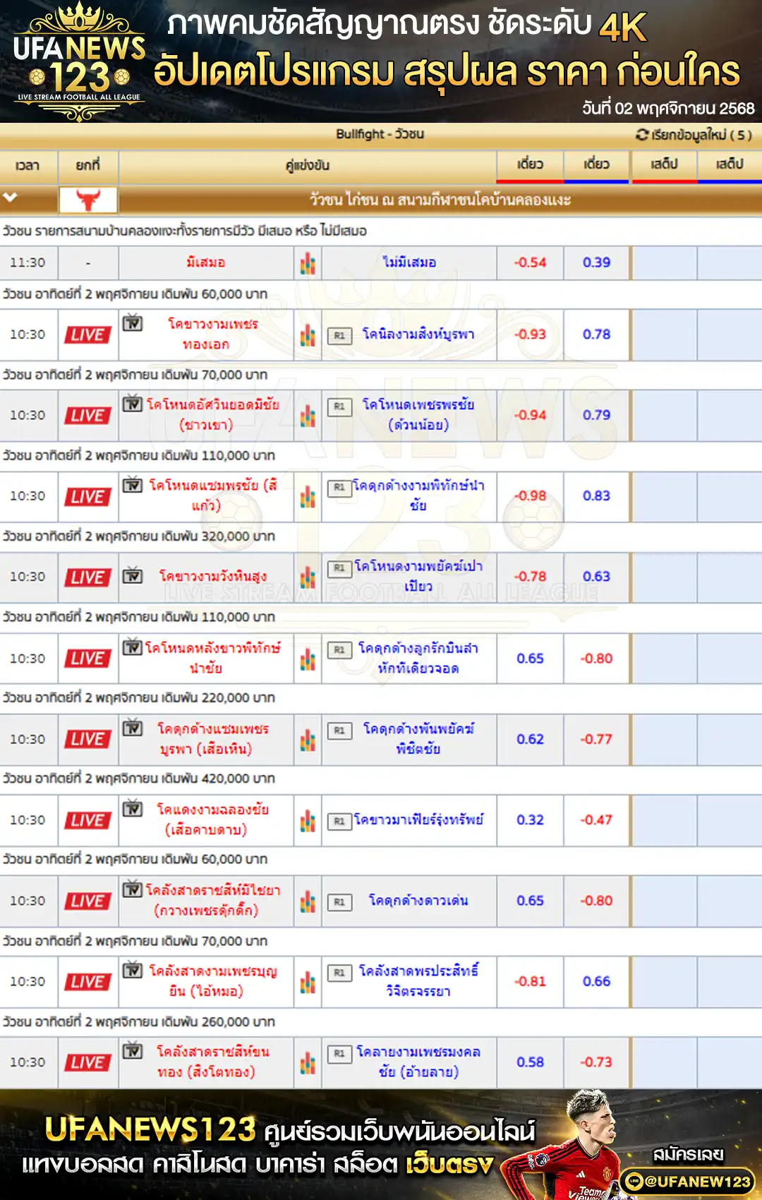 ราคาวัวชนประจำวันที่ 02 พฤศจิกายน 2568 | สนามกีฬาชนโคบ้านคลองแงะ เริ่มเวลา 10:30 น.