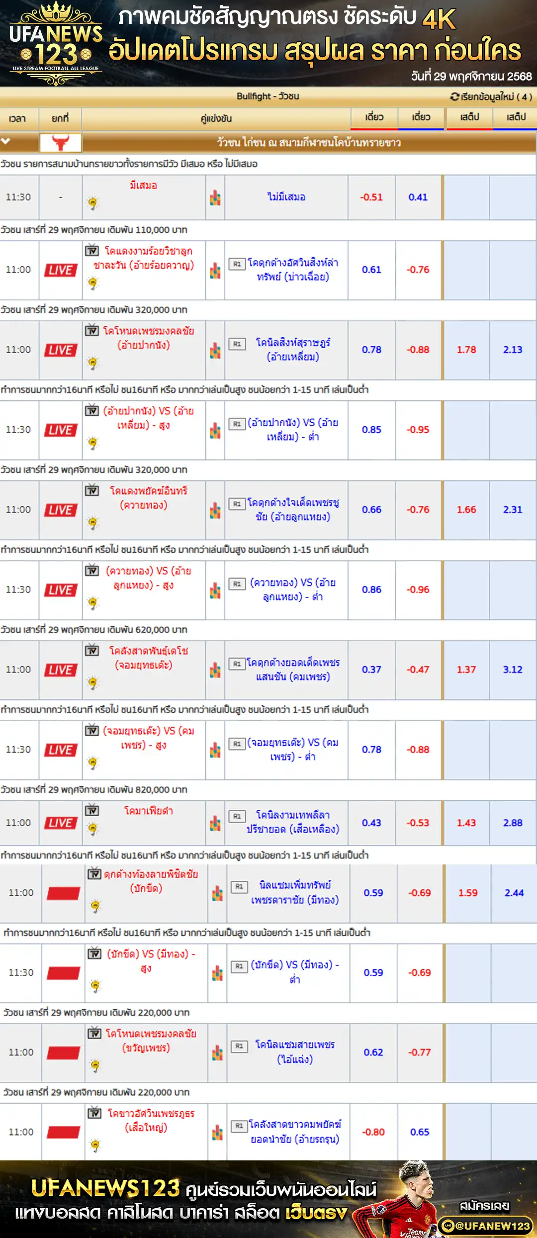 ราคาวัวชนประจำวันที่ 29 พฤศจิกายน 2568 | สนามกีฬาชนโคบ้านทรายขาว เริ่มเวลา 10:30 น.