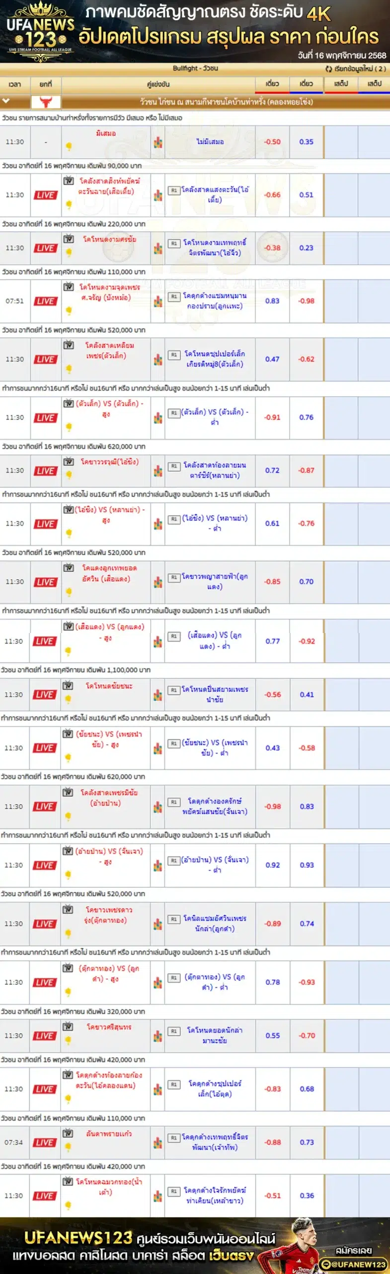 💸 ราคาวัวชนประจำวันที่ 16 พฤศจิกายน 2568 | สนามกีฬาชนโคบ้านท่าหรั่ง เริ่มเวลา 10:00 น.