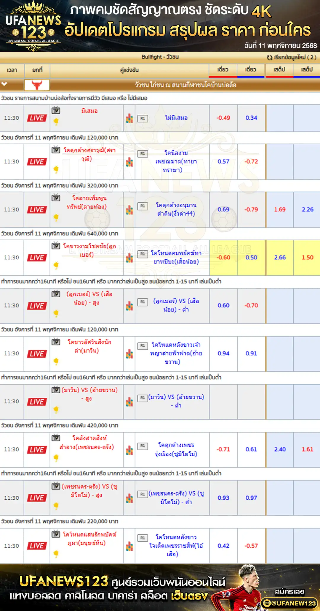 💸 ราคาวัวชนประจำวันที่ 11 พฤศจิกายน 2568 | สนามชนโคบ้านบ่อล้อ เริ่มเวลา 10:00 น.