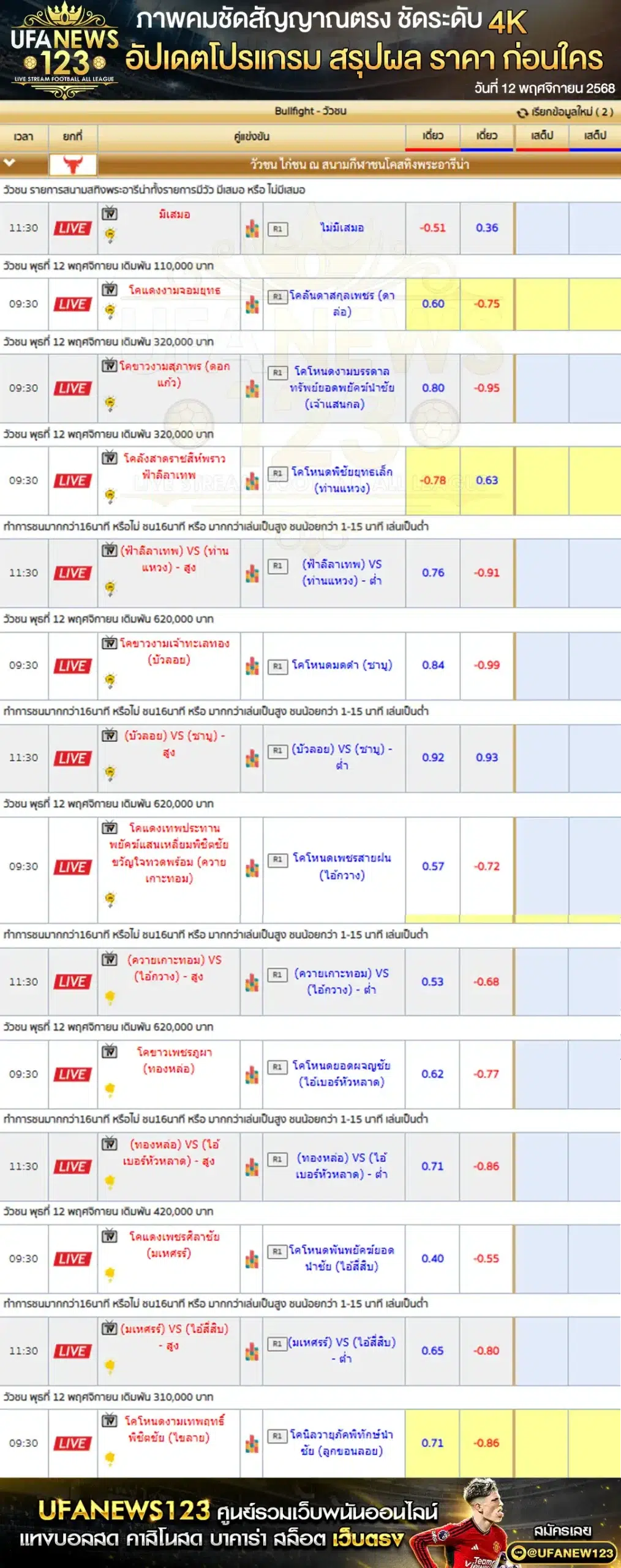 💸 ราคาวัวชนประจำวันที่ 12 พฤศจิกายน 2568 | สนามกีฬาชนโคสทิงพระ เริ่มเวลา 10:00 น.