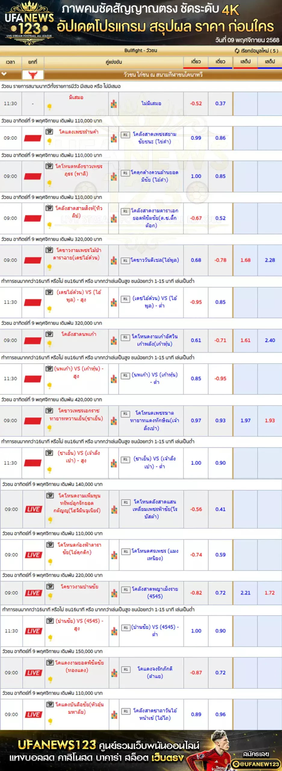 💸 ราคาวัวชนประจำวันที่ 09 พฤศจิกายน 2568 | สนามชนโคอำเภอนาทวี เริ่มเวลา 09:00 น. 