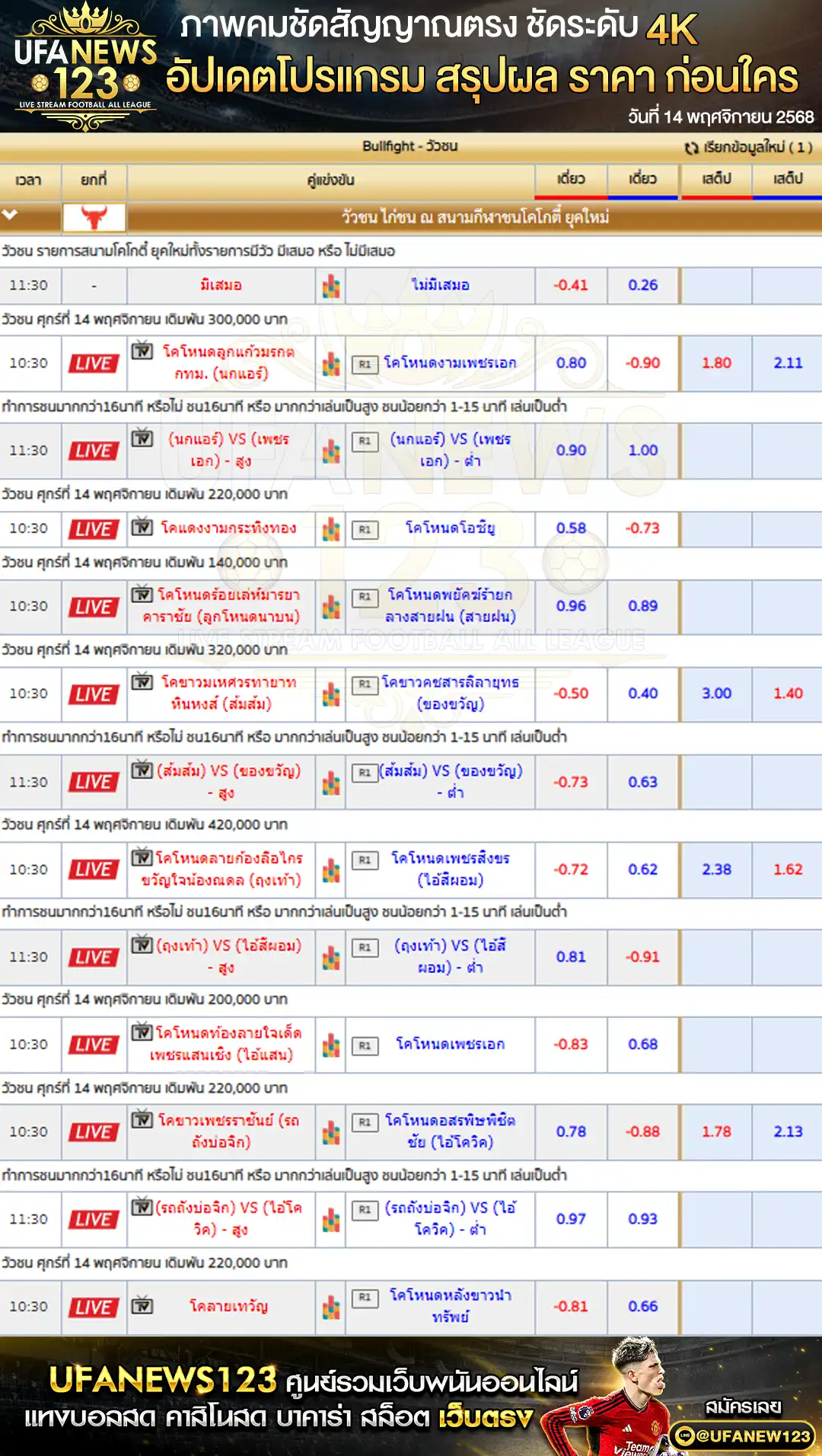 💸 ราคาวัวชนประจำวันที่ 14 พฤศจิกายน 2568 | สนามกีฬาชนโคโกตี๋ ยุคใหม่ เริ่มเวลา 10:30 น.