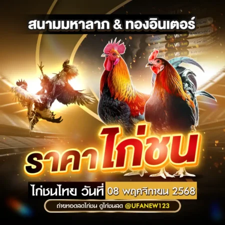 ราคาไก่ชน 08 พฤศจิกายน 2568