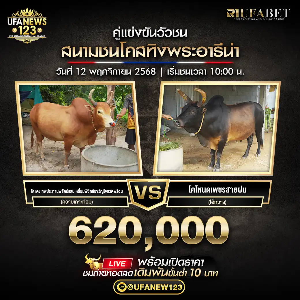 โคแดงเทพประทานพยัคฆ์แสนเหลี่ยมพิชิตชัยขวัญใจกวดพร้อม (ควายเกาะทอม) VS โคโหนดเพชรสายฝน (ไอ้กวาง) ชิงรางวัล 620,000 บาท 12 พฤศจิกายน 2568