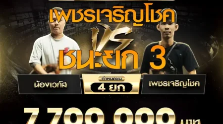 เทปไก่ชน น้องเวกัส VS เพชรเจริญโชค 01 พฤศจิกายน 2568