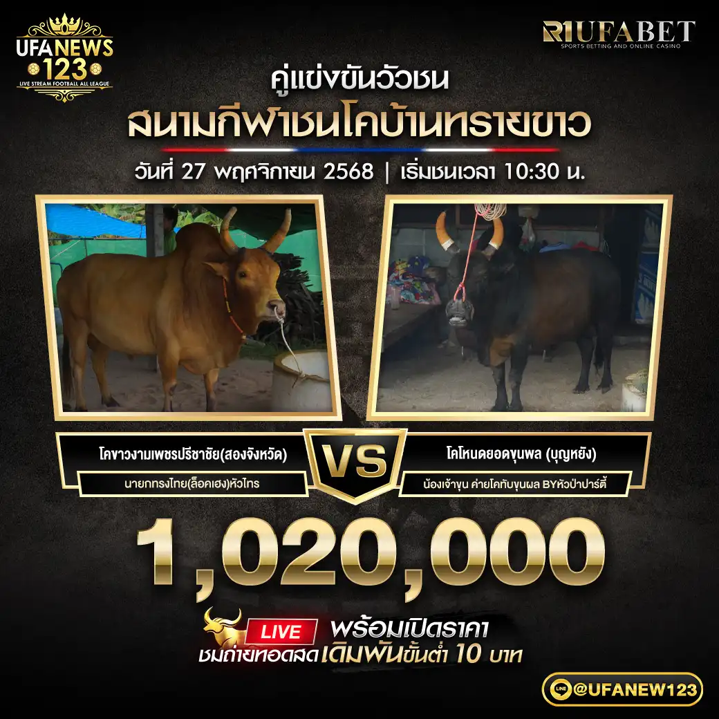 โคขาวงามเพชรปรีชาชัย(สองจังหวัด) VS โคโหนดยอดขุนพล (บุญหยัง) ชิงรางวัล 1,020,000 บาท 27 พฤศจิกายน 2568 