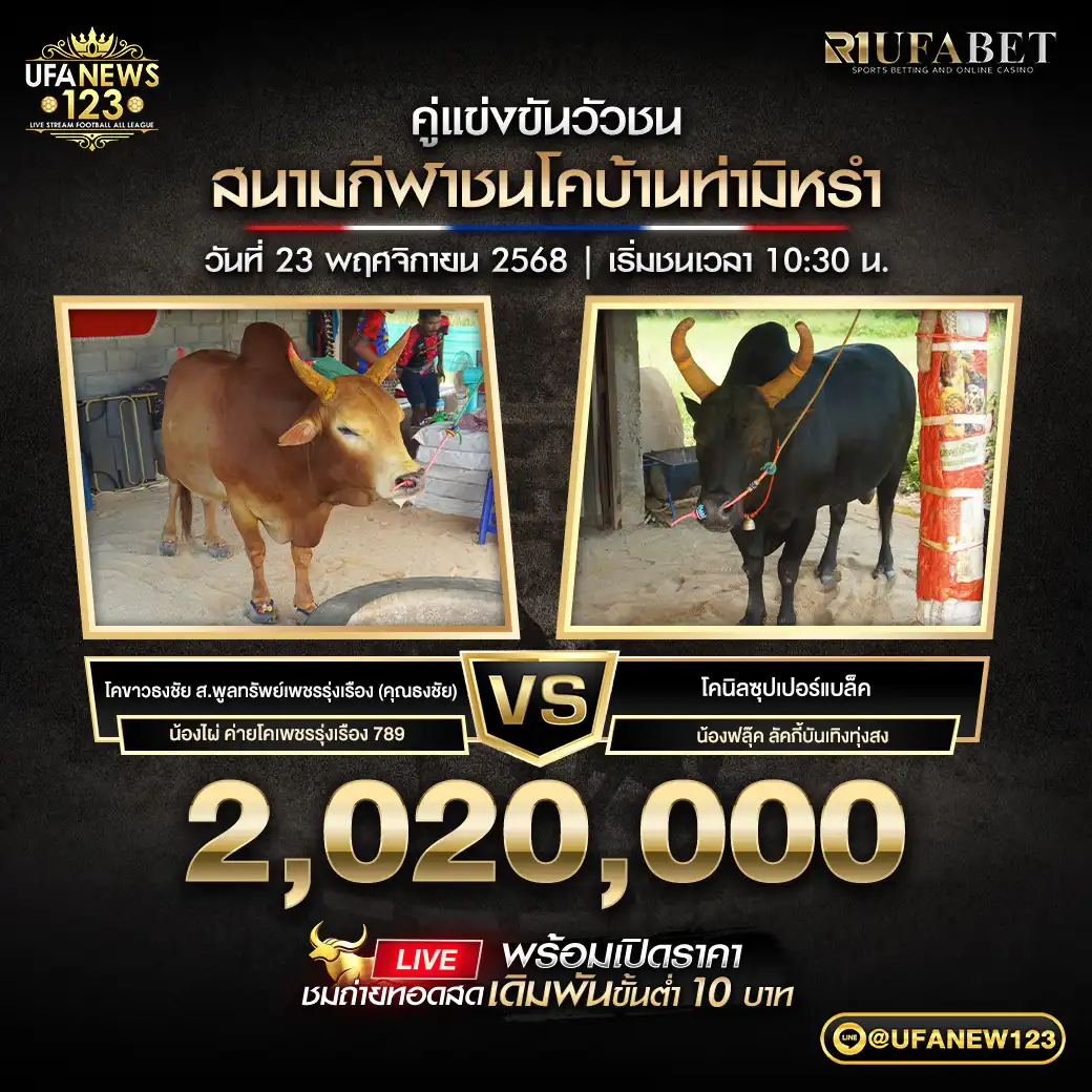 โคขาวธงชัย ส.พูลทรัพย์เพชรรุ่งเรือง (คุณธงชัย) VS โคนิลซุปเปอร์แบล็ค ชิงรางวัล 2,020,000 บาท 23 พฤศจิกายน 2568 